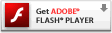 獲取最新 Adobe Flash Player