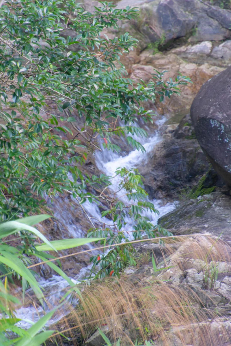 半山公園風(fēng)景圖 (15).jpg