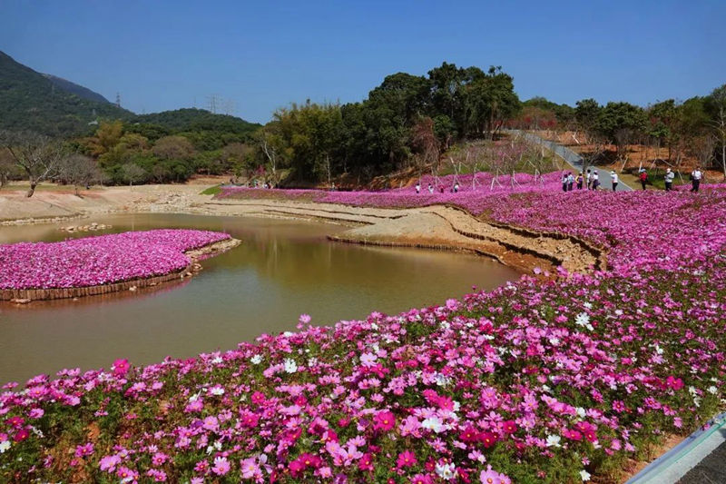 半山公園風(fēng)景圖 (18).jpg